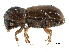  ( - CCDB-28939-E11)  @11 [ ] CreativeCommons - Attribution (2015) CBG Photography Group Centre for Biodiversity Genomics