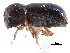  ( - CCDB-28939-F12)  @11 [ ] CreativeCommons - Attribution (2015) CBG Photography Group Centre for Biodiversity Genomics