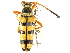  (Typocerus balteatus - CCDB-28941-F06)  @11 [ ] CreativeCommons - Attribution (2015) CBG Photography Group Centre for Biodiversity Genomics