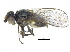  ( - CCDB-28943-B09)  @13 [ ] CreativeCommons - Attribution (2015) CBG Photography Group Centre for Biodiversity Genomics