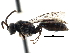  ( - CCDB-28944-G04)  @15 [ ] CreativeCommons - Attribution (2015) CBG Photography Group Centre for Biodiversity Genomics
