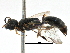  ( - CCDB-28944-G07)  @11 [ ] CreativeCommons - Attribution (2015) CBG Photography Group Centre for Biodiversity Genomics