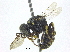  ( - CCDB-28945-D04)  @11 [ ] CreativeCommons - Attribution (2015) CBG Photography Group Centre for Biodiversity Genomics