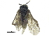 ( - CCDB-28946-F02)  @11 [ ] CreativeCommons - Attribution (2015) CBG Photography Group Centre for Biodiversity Genomics
