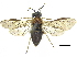  ( - CCDB-28946-G03)  @11 [ ] CreativeCommons - Attribution (2015) CBG Photography Group Centre for Biodiversity Genomics