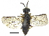  ( - CCDB-28946-H05)  @11 [ ] CreativeCommons - Attribution (2015) CBG Photography Group Centre for Biodiversity Genomics