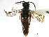  ( - CCDB-28947-A06)  @11 [ ] CreativeCommons - Attribution (2015) CBG Photography Group Centre for Biodiversity Genomics