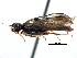  ( - CCDB-28947-A07)  @11 [ ] CreativeCommons - Attribution (2015) CBG Photography Group Centre for Biodiversity Genomics
