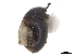  ( - CCDB-33293-E05)  @11 [ ] CreativeCommons - Attribution (2019) CBG Photography Group Centre for Biodiversity Genomics