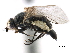  ( - CCDB-33855-D10)  @11 [ ] CreativeCommons - Attribution (2019) CBG Photography Group Centre for Biodiversity Genomics