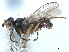 ( - CCDB-33856-E02)  @11 [ ] CreativeCommons - Attribution (2019) CBG Photography Group Centre for Biodiversity Genomics