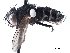  ( - CCDB-33857-A07)  @11 [ ] CreativeCommons - Attribution (2019) CBG Photography Group Centre for Biodiversity Genomics