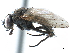 ( - CCDB-33857-D03)  @11 [ ] CreativeCommons - Attribution (2019) CBG Photography Group Centre for Biodiversity Genomics