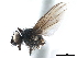  ( - CCDB-33857-F09)  @11 [ ] CreativeCommons - Attribution (2019) CBG Photography Group Centre for Biodiversity Genomics