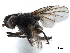  ( - CCDB-33857-F10)  @11 [ ] CreativeCommons - Attribution (2019) CBG Photography Group Centre for Biodiversity Genomics
