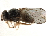  ( - CCDB-33857-G08)  @11 [ ] CreativeCommons - Attribution (2019) CBG Photography Group Centre for Biodiversity Genomics