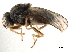  ( - CCDB-33857-G09)  @11 [ ] CreativeCommons - Attribution (2019) CBG Photography Group Centre for Biodiversity Genomics