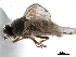  ( - CCDB-33857-G12)  @11 [ ] CreativeCommons - Attribution (2019) CBG Photography Group Centre for Biodiversity Genomics