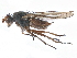  ( - CCDB-33857-H02)  @11 [ ] CreativeCommons - Attribution (2019) CBG Photography Group Centre for Biodiversity Genomics
