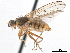  ( - CCDB-33857-H06)  @13 [ ] CreativeCommons - Attribution (2019) CBG Photography Group Centre for Biodiversity Genomics