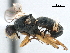  ( - CCDB-33857-H11)  @13 [ ] CreativeCommons - Attribution (2019) CBG Photography Group Centre for Biodiversity Genomics