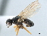  ( - CCDB-33858-A03)  @11 [ ] CreativeCommons - Attribution (2019) CBG Photography Group Centre for Biodiversity Genomics