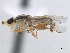  ( - CCDB-33858-D06)  @11 [ ] CreativeCommons - Attribution (2019) CBG Photography Group Centre for Biodiversity Genomics