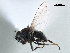 ( - CCDB-33858-E12)  @11 [ ] CreativeCommons - Attribution (2019) CBG Photography Group Centre for Biodiversity Genomics