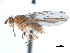  ( - CCDB-33859-A01)  @11 [ ] CreativeCommons - Attribution (2019) CBG Photography Group Centre for Biodiversity Genomics