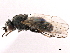  ( - CCDB-33859-B03)  @11 [ ] CreativeCommons - Attribution (2019) CBG Photography Group Centre for Biodiversity Genomics