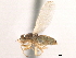  ( - CCDB-33859-D09)  @11 [ ] CreativeCommons - Attribution (2019) CBG Photography Group Centre for Biodiversity Genomics