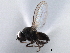  ( - CCDB-33859-E09)  @11 [ ] CreativeCommons - Attribution (2019) CBG Photography Group Centre for Biodiversity Genomics