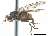  ( - CCDB-33859-H05)  @11 [ ] CreativeCommons - Attribution (2019) CBG Photography Group Centre for Biodiversity Genomics