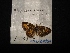  ( - MAL-04124)  @12 [ ] Unspecified (default): All Rights Reserved  Unspecified Unspecified