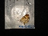  ( - MAL-04125)  @12 [ ] Unspecified (default): All Rights Reserved  Unspecified Unspecified