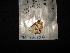  ( - MAL-04126)  @12 [ ] Unspecified (default): All Rights Reserved  Unspecified Unspecified