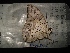  ( - MAL-04127)  @13 [ ] Unspecified (default): All Rights Reserved  Unspecified Unspecified
