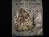  ( - MAL-04128)  @12 [ ] Unspecified (default): All Rights Reserved  Unspecified Unspecified