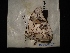  ( - MAL-04129)  @12 [ ] Unspecified (default): All Rights Reserved  Unspecified Unspecified