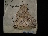  ( - MAL-04131)  @13 [ ] Unspecified (default): All Rights Reserved  Unspecified Unspecified