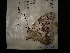  ( - MAL-04132)  @12 [ ] Unspecified (default): All Rights Reserved  Unspecified Unspecified