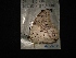  ( - MAL-04133)  @12 [ ] Unspecified (default): All Rights Reserved  Unspecified Unspecified