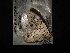  ( - MAL-04137)  @12 [ ] Unspecified (default): All Rights Reserved  Unspecified Unspecified