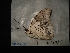  ( - MAL-04138)  @12 [ ] Unspecified (default): All Rights Reserved  Unspecified Unspecified