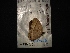  ( - MAL-04261)  @12 [ ] Unspecified (default): All Rights Reserved  Unspecified Unspecified