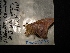  ( - MAL-04293)  @13 [ ] Unspecified (default): All Rights Reserved  Unspecified Unspecified