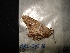  ( - MAL-04296)  @12 [ ] Unspecified (default): All Rights Reserved  Unspecified Unspecified