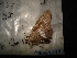  ( - MAL-04297)  @12 [ ] Unspecified (default): All Rights Reserved  Unspecified Unspecified