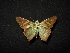  ( - MAL-04300)  @13 [ ] Unspecified (default): All Rights Reserved  Unspecified Unspecified