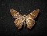  ( - MAL-04303)  @13 [ ] Unspecified (default): All Rights Reserved  Unspecified Unspecified